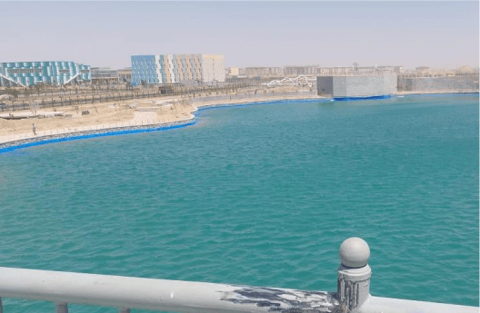 Геомембрана